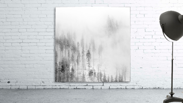 Winter Landscape II Wall Preview
