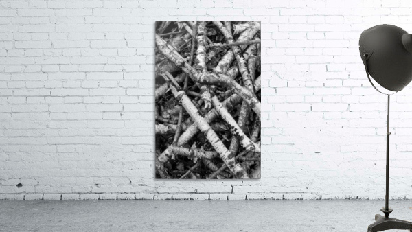 Forest IX  Wall Preview