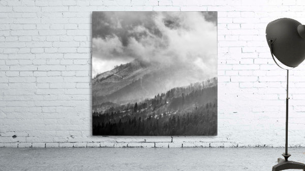 Winter Landscape V Wall Preview