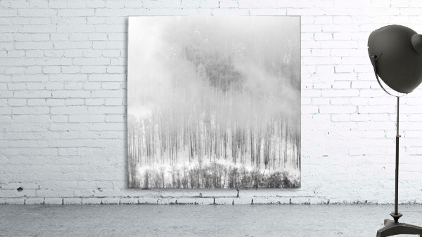 Winter Landscape IV Wall Preview