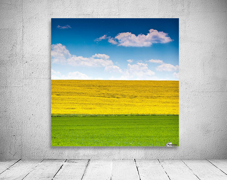 Three colors Wall Preview