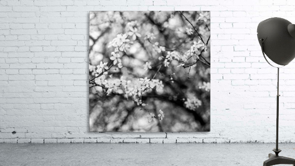 Flowers I Wall Preview