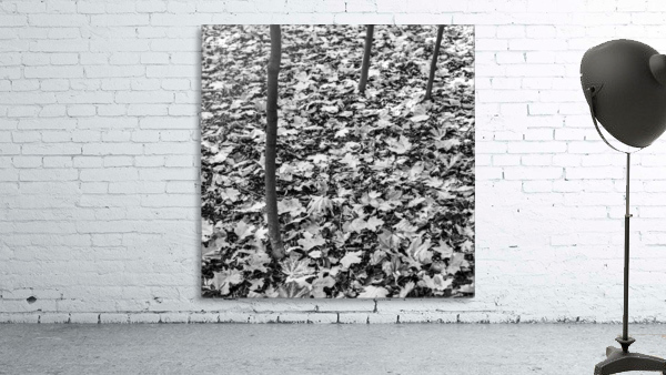 Three lines Wall Preview