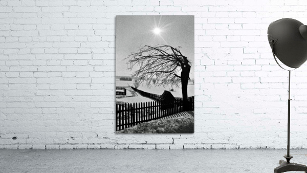 Fence, tree, well Wall Preview