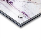 Sophia Cinq Acrylic print