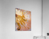 524321 Acrylic Print
