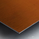 53452 Metal print