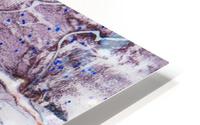 Sophia Cinq HD Metal print
