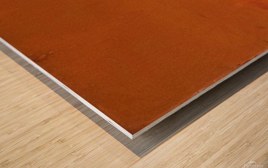 53452 Wood print