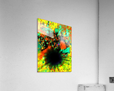 Blight Impression acrylique