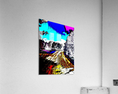 The Park Acrylic Print