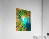 The fan Acrylic Print