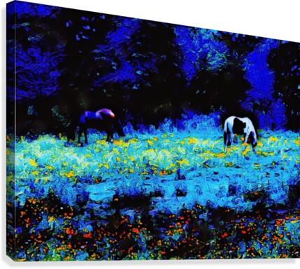 The Perfect Moment Canvas Print