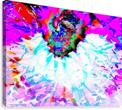 Where Planets are Born Canvas Print