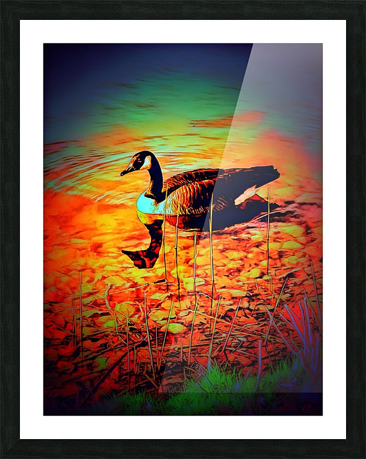 Quietude Picture Frame print