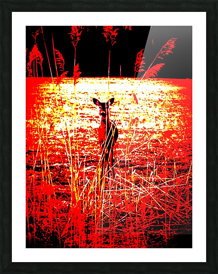 The Deer Picture Frame print