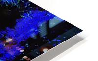 The Perfect Moment HD Metal print
