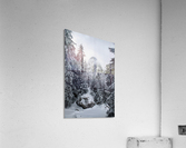 Hidden Giant Acrylic Print