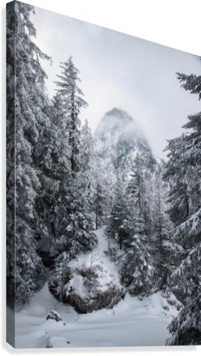 Hidden Giant Canvas Print