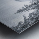 Hidden Giant Metal print