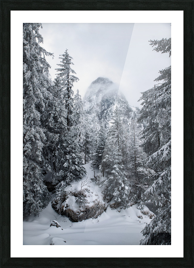 Hidden Giant Picture Frame print