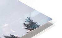Hidden Giant HD Metal print