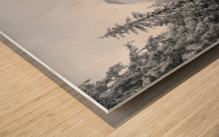 Hidden Giant Wood print