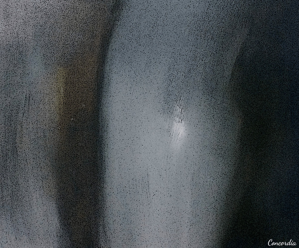 Slice of Life Téléchargement Numérique