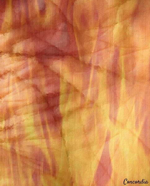 Palmistry 3 Téléchargement Numérique