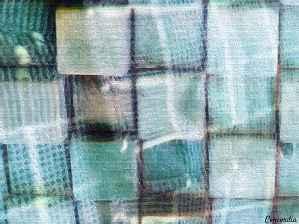 Square Dance 1 Digital Download