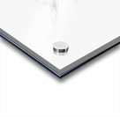 The Light Acrylic print