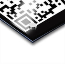 The Secret Acrylic print