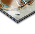 Meet Me Outside 2 Acrylic print