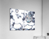 Night Sky 2 Acrylic Print