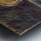 Mevlut 2 Metal print