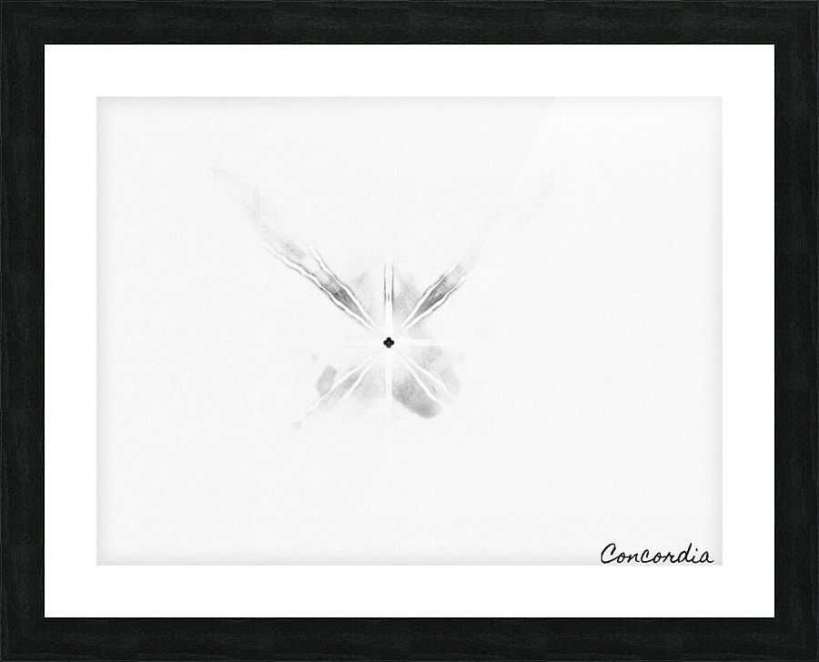 The Light Picture Frame print