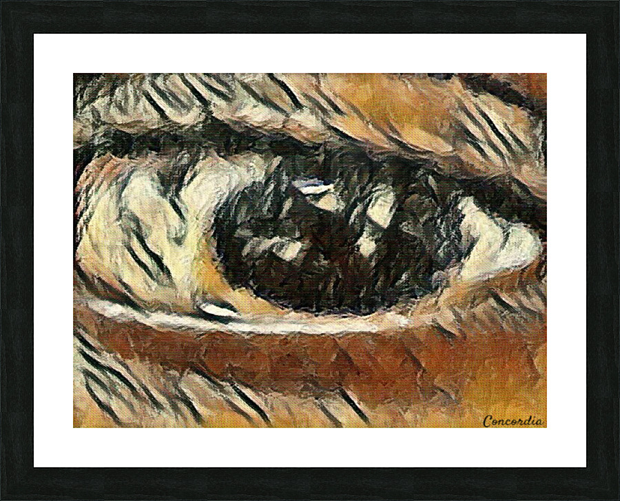 The Eye 4 Picture Frame print