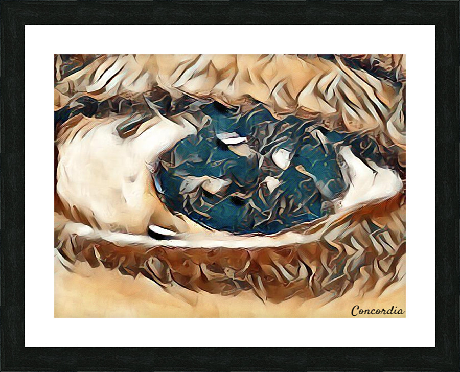 The Eye 5 Picture Frame print