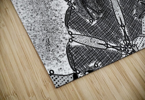 Snakes ArtByConcordia puzzle