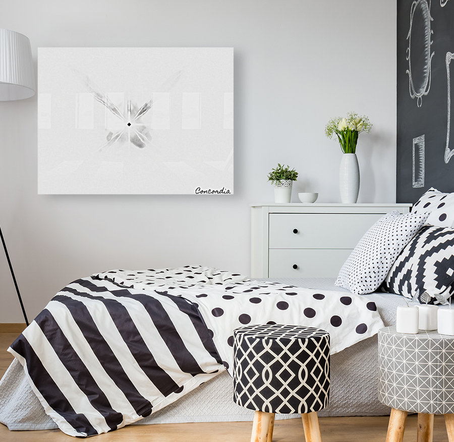 The Light Reproduction