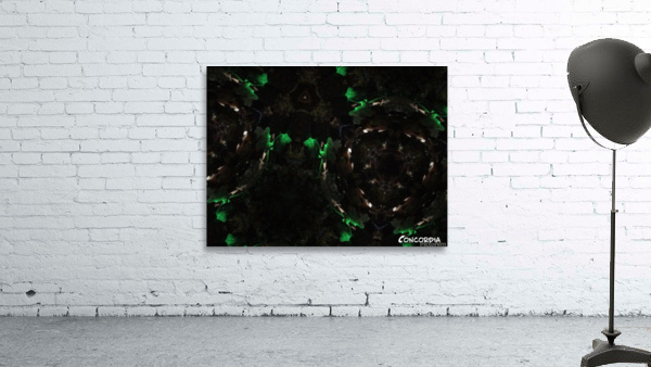 Excitement Wall Preview