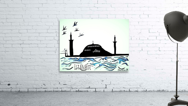 Istanbul during the Day Wall Preview