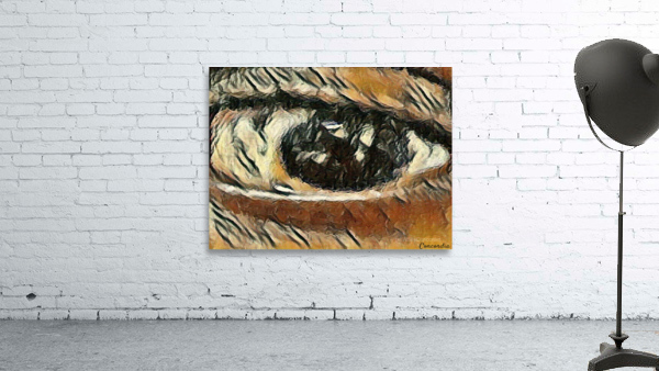 The Eye 4 Wall Preview