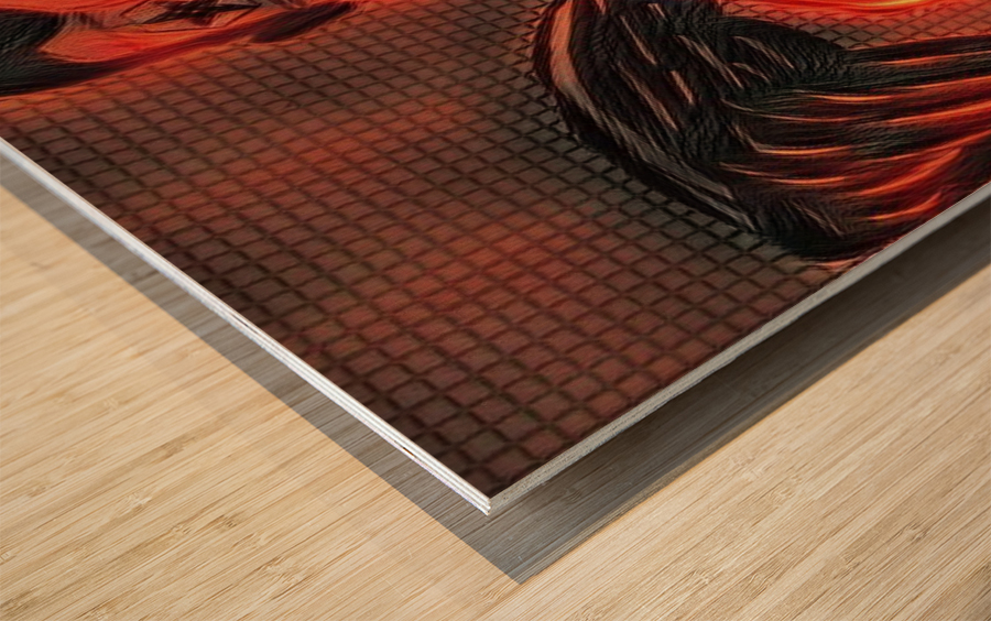 Balance 1 Wood print