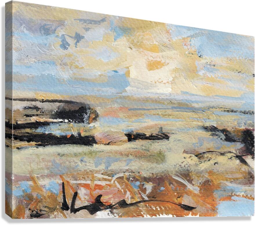 abstract landscape   mati Canvas Print