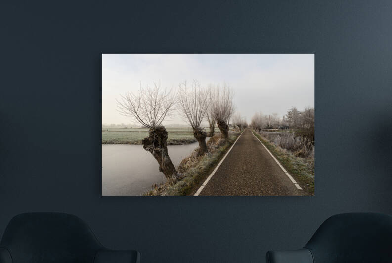 Frozen polder landscape with ditch and Pollard Willows and countryroad in The Netherlands by Leoniek Van Der Vliet