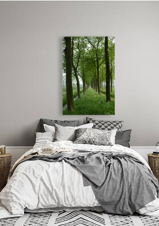 Lane with lines of ashtrees and grassland with  cow parsley flowers in perspective by Leoniek Van Der Vliet