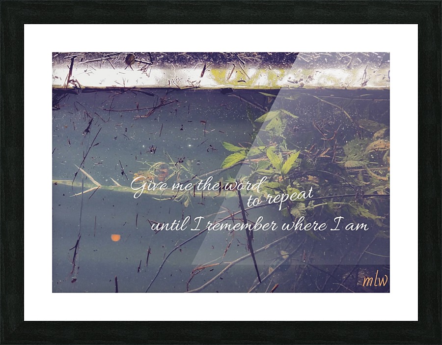Flood Picture Frame print