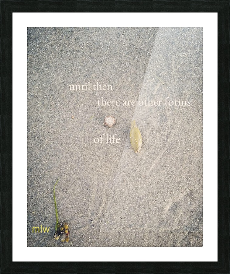 Interim Picture Frame print