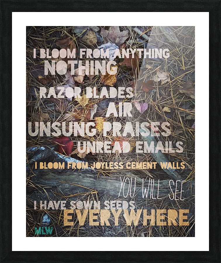 Baltimore Picture Frame print